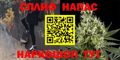 шишки Пенза