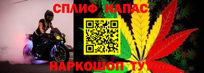 Альфа ПВП Партизанск