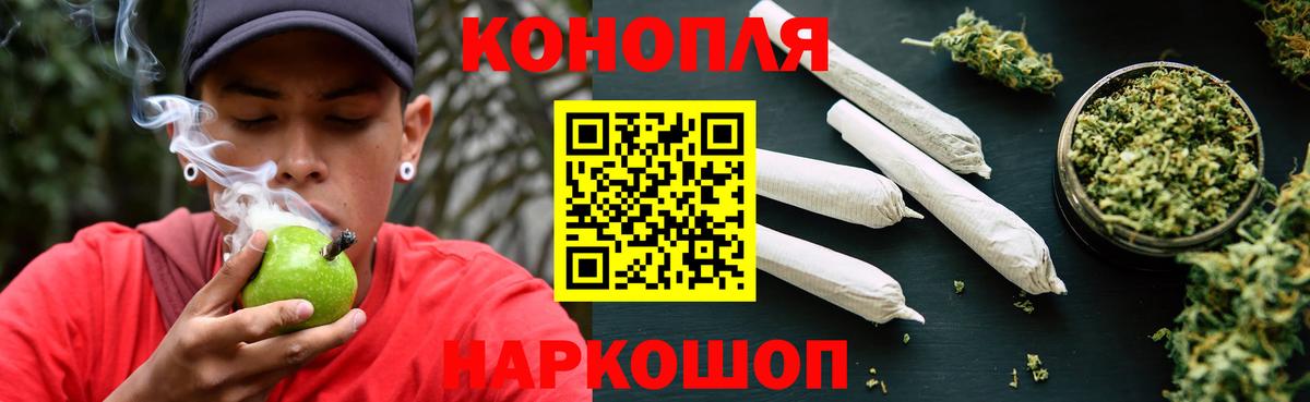 Марихуана конопля Славгород